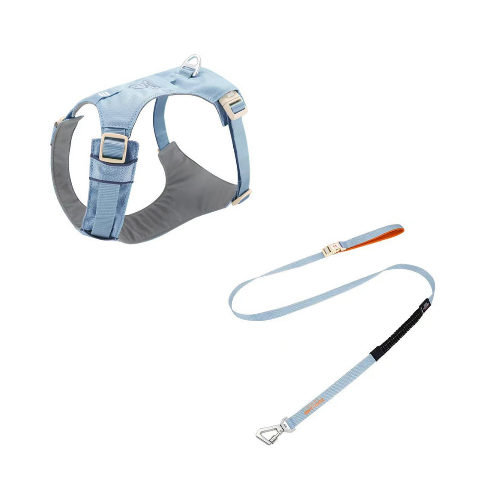 🐶 Zooland Lightweight Dog Harness & Leash Set