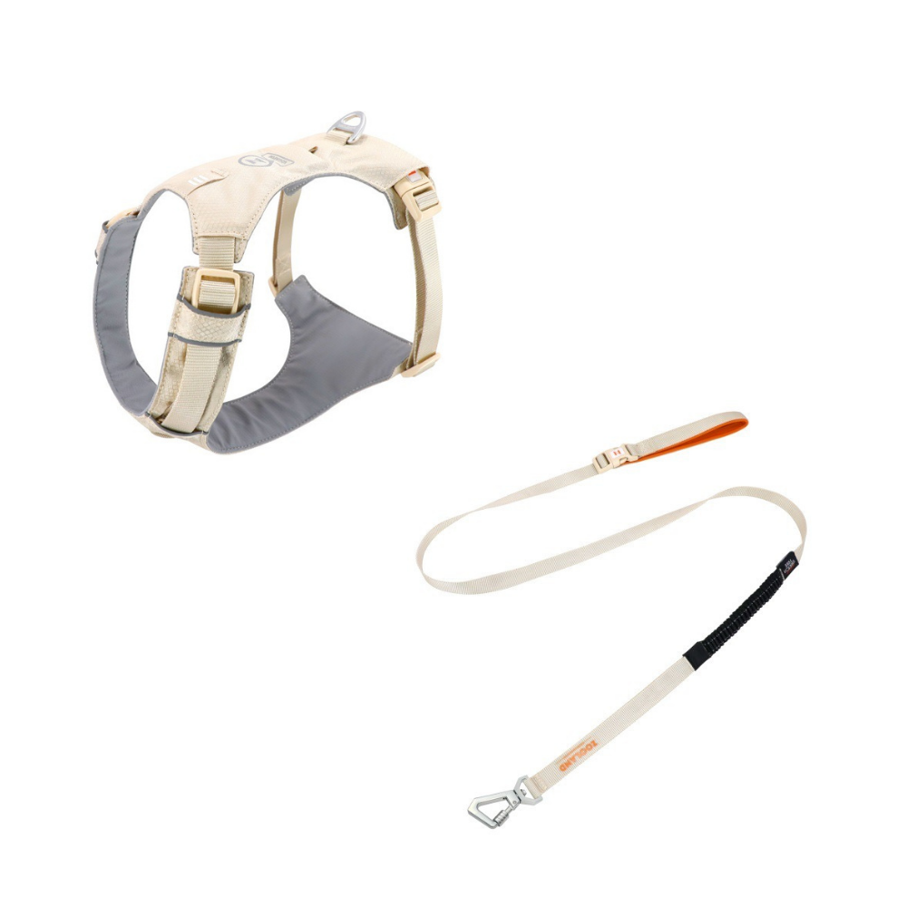 🐶 Zooland Lightweight Dog Harness & Leash Set