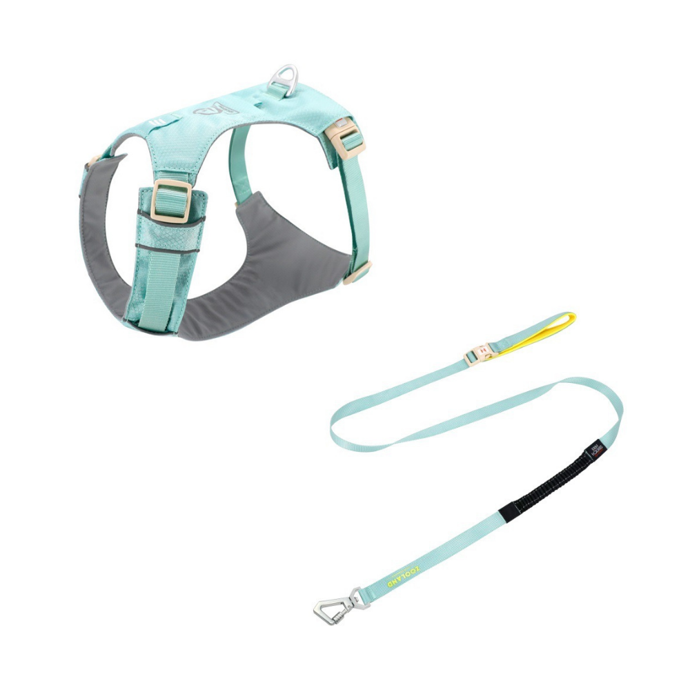 🐶 Zooland Lightweight Dog Harness & Leash Set