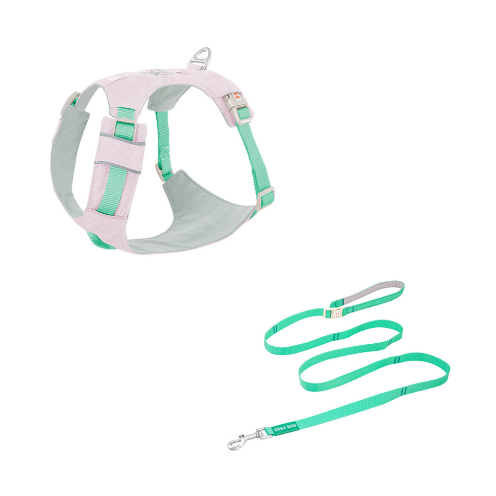 🐶 Zooland Lightweight Dog Harness & Leash Set
