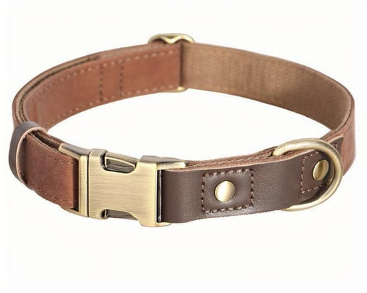 Personalised Engraved Dog Collar with Durable Buckle – Adjustable & Stylish for Small to Large Dogs - DD PET