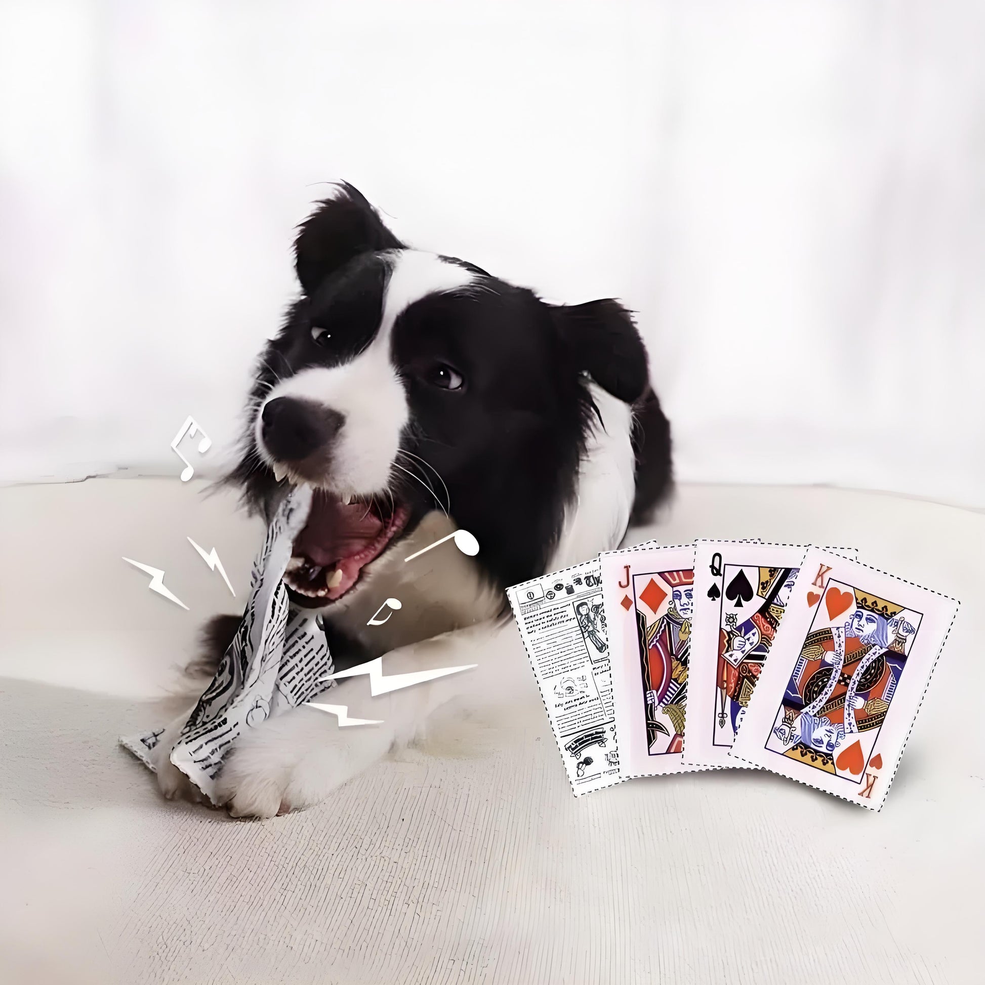 Paper Crinkle Dog Toy – Durable Squeaky Toy with Newspaper & Poker Card Design for Small to Medium Dogs - DD PET