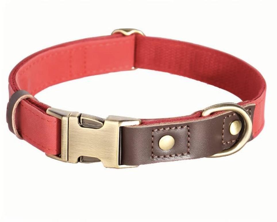 Personalised Engraved Dog Collar with Durable Buckle – Adjustable & Stylish for Small to Large Dogs - DD PET