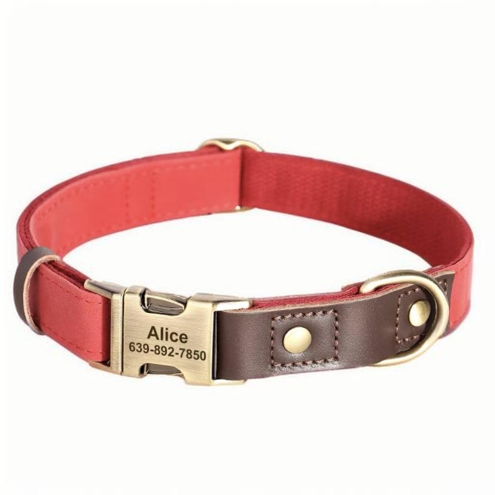 Personalised Engraved Dog Collar with Durable Buckle – Adjustable & Stylish for Small to Large Dogs - DD PET
