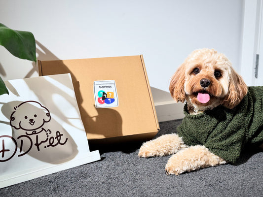 🎁 DD PET One-Time Dog Toy Mystery Box