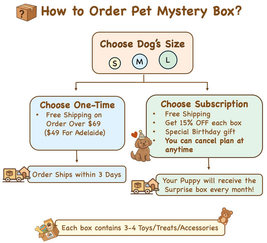 🎁 DD PET Mystery Box