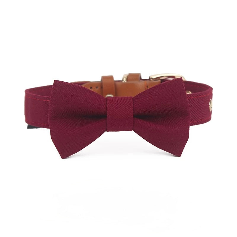 Luxury Bow Tie Dog Collar – Elegant & Adjustable - DD PET