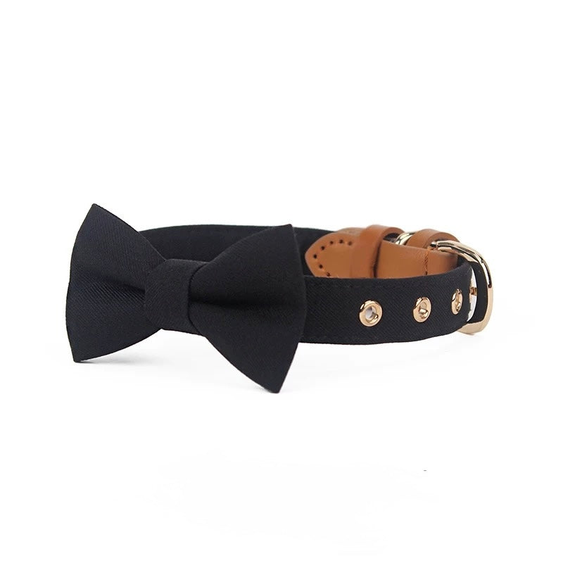 Luxury Bow Tie Dog Collar – Elegant & Adjustable - DD PET