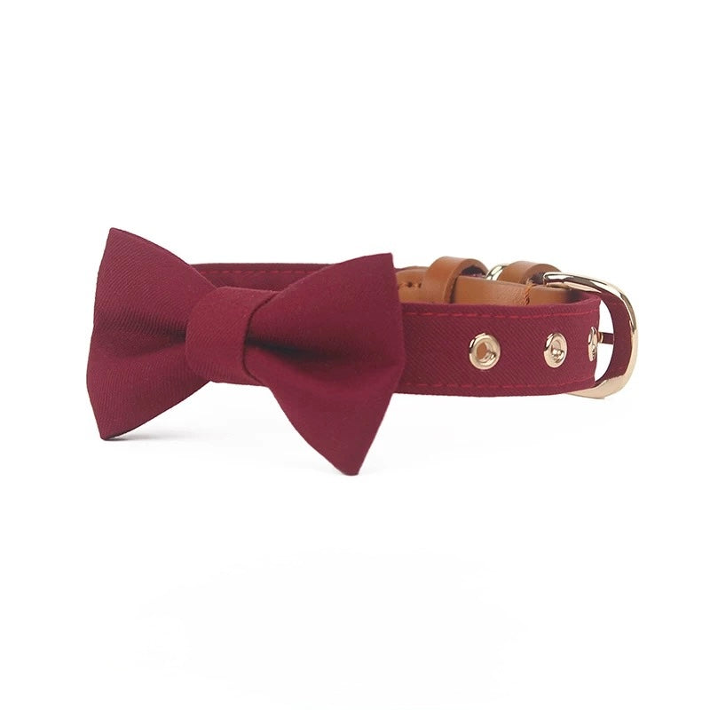Luxury Bow Tie Dog Collar – Elegant & Adjustable - DD PET