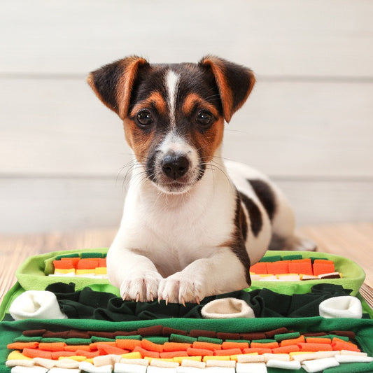 🥬 Interactive Snuffle Mat for Dogs | Multi-Layer Foraging Puzzle Pad - DD PET
