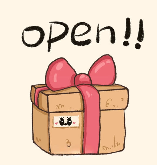 🎁 Mystery Toy Box Subscription🐾 - DD PET
