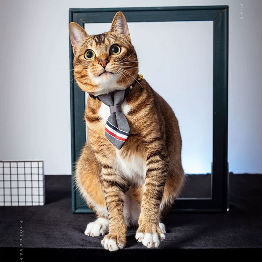 Formal Pet Necktie Collar – Adjustable & Stylish for Cats & Small Dogs - DD PET