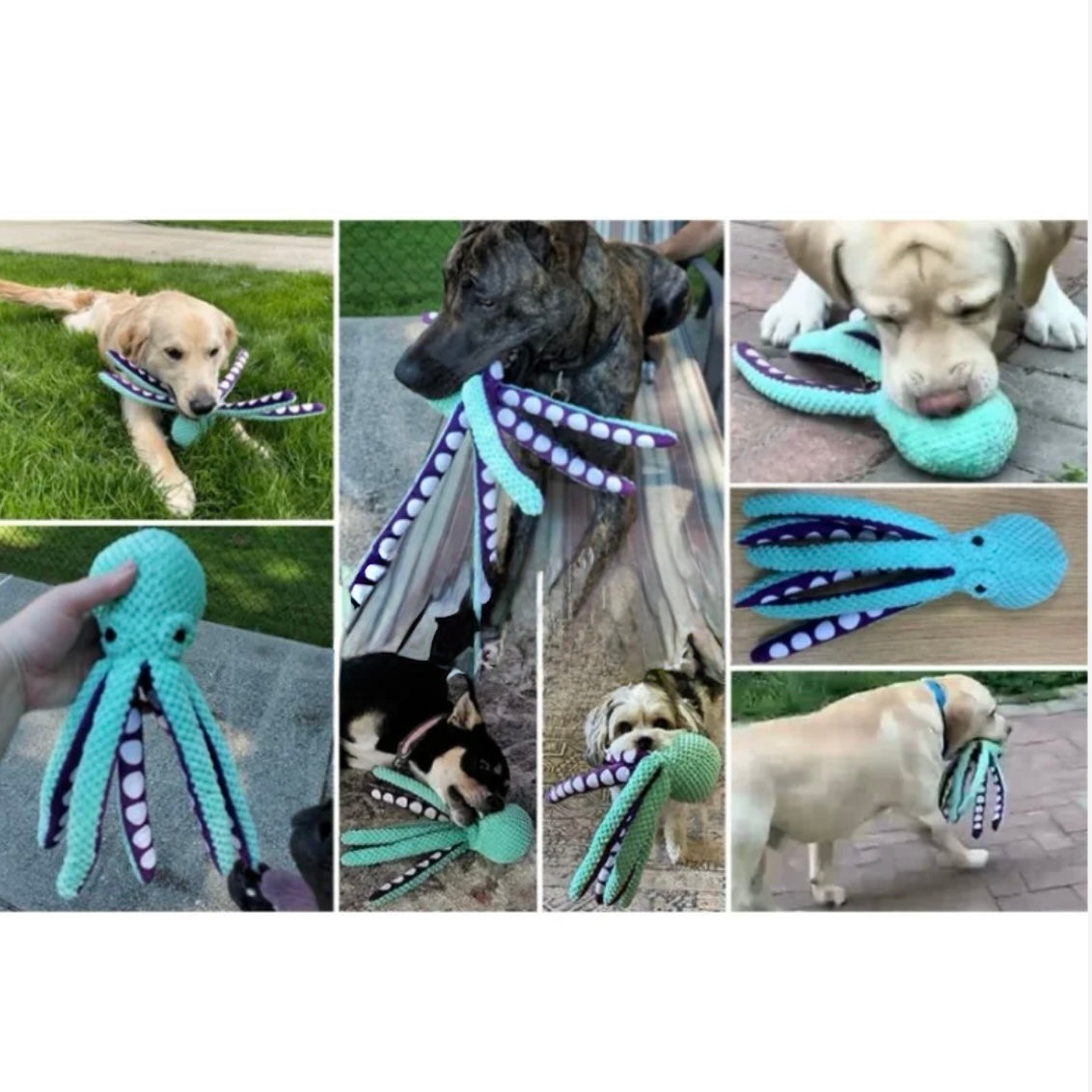 Plush Octopus Dog Toy with Squeaker – Soft, Durable & Fun for Chewers - DD PET