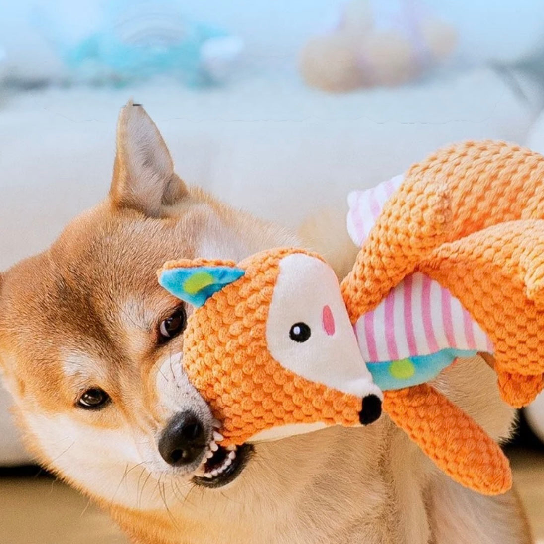 🐶 Plush Squeaky Dog Toys – Fox, Bear & Frog - DD PET