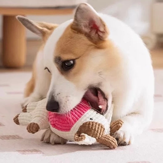 🐮Squeaky Cow Dog Toy – Durable Corduroy Plush Toy for Small Dogs | Cute & Fun - DD PET
