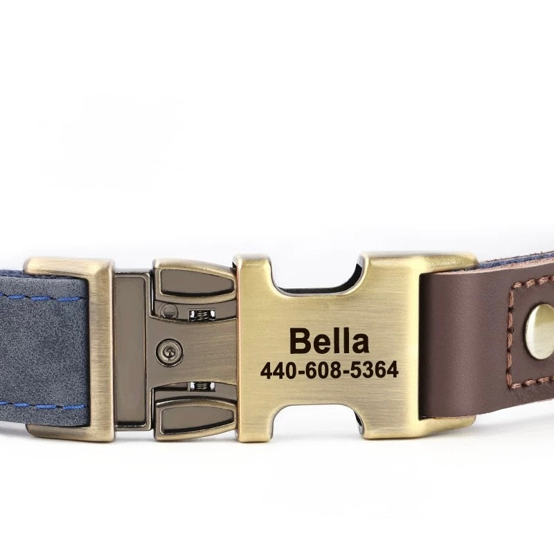 Collier chien personnalisé — vue générale