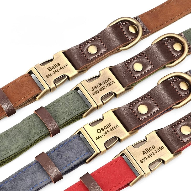 Collier chien personnalisé — boucle