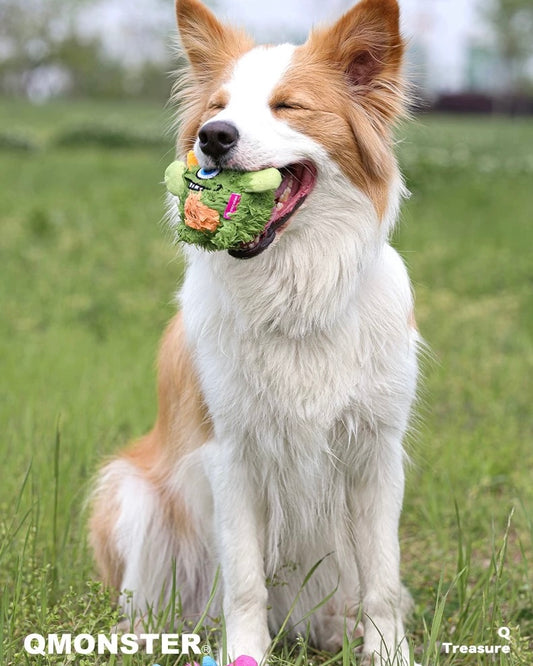 QMonster Plush Squeaky Dog Toy – Soft & Durable Chew Toy for Small & Medium Dogs - DD PET