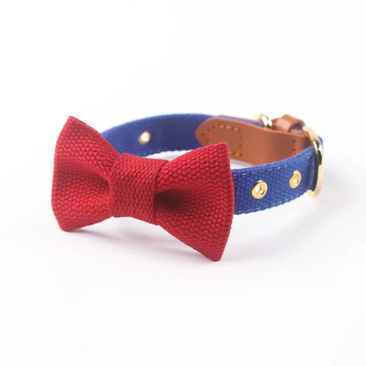 Luxury Bow Tie Dog Collar – Elegant & Adjustable - DD PET