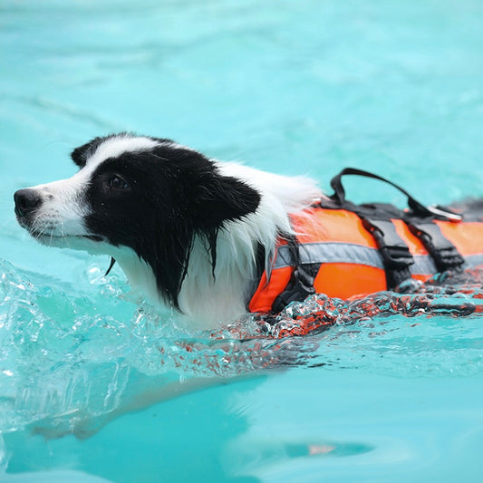 Durable Dog Life Jacket – Reflective, Quick-Dry & Easy to Wear | Secure Handle for Swimming Safety