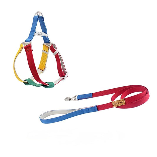 Breathable Y-Shaped Dog Harness & Leash Set – Colourful Design