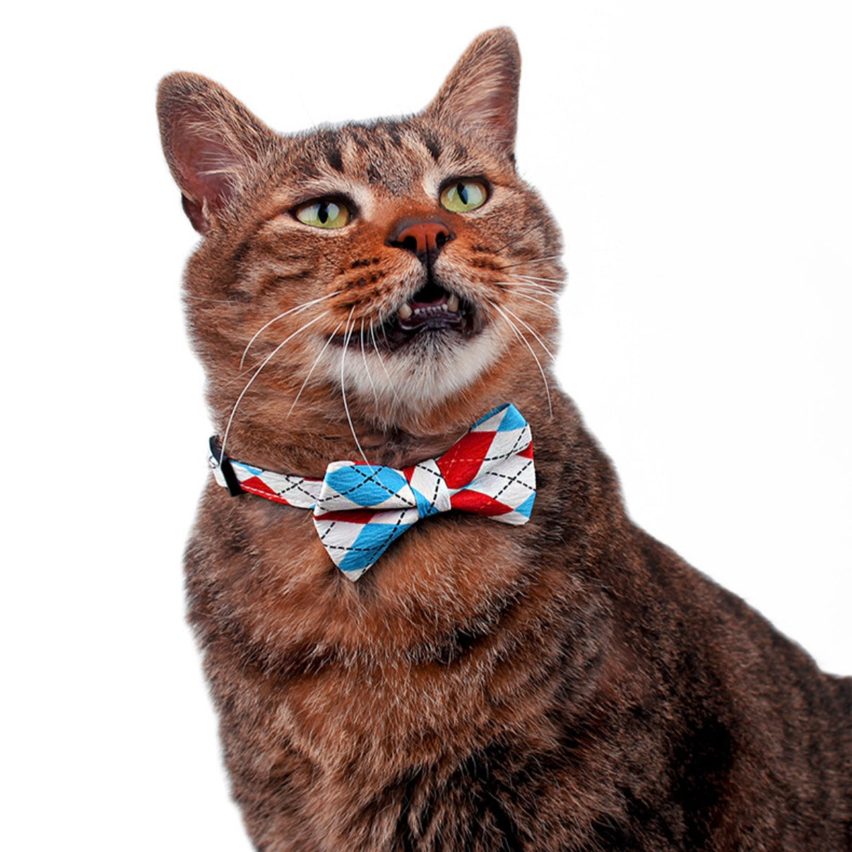 Plaid Bow Tie Cat Collar – Adjustable Breakaway Collar for Stylish Pets