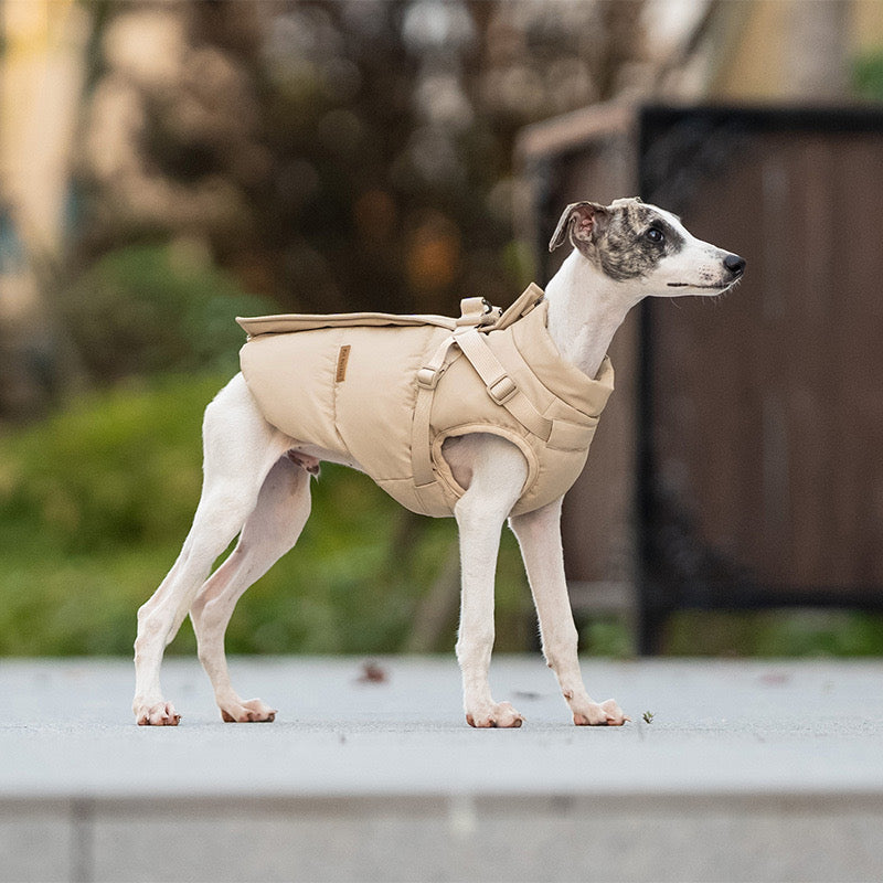 🐾 Dog Winter Puffer Jacket with Harness Hooks