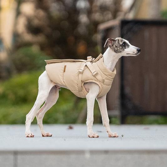 🐾 Dog Winter Puffer Jacket with Harness Hooks