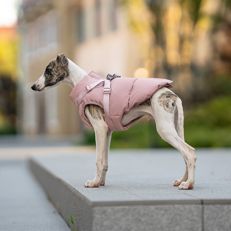 🐾 Dog Winter Puffer Jacket with Harness Hooks