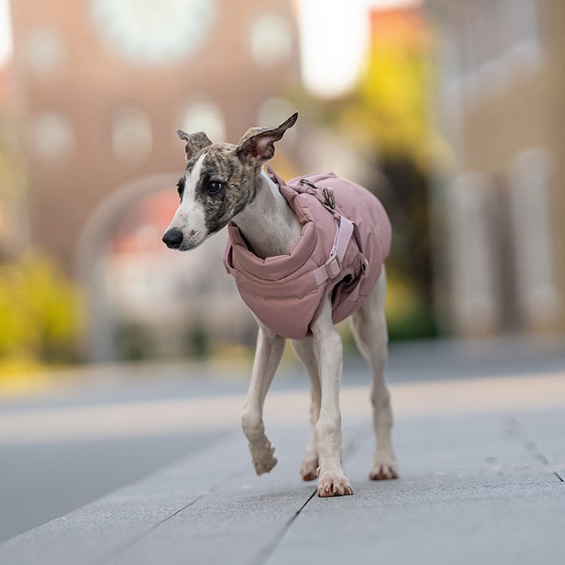 🐾 Dog Winter Puffer Jacket with Harness Hooks