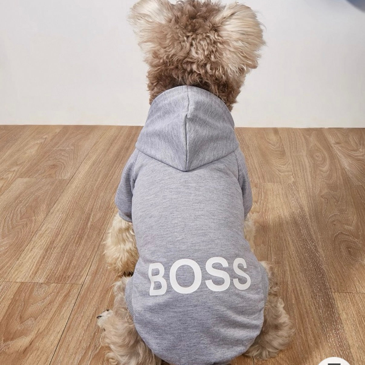 "The Boss" Designer Dog Hoodie - Premium Sweatshirt