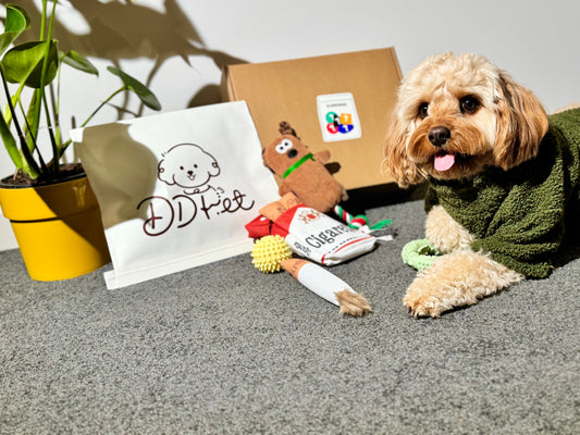 🎁 DD PET Mystery Dog Toy Box Subscription🐾