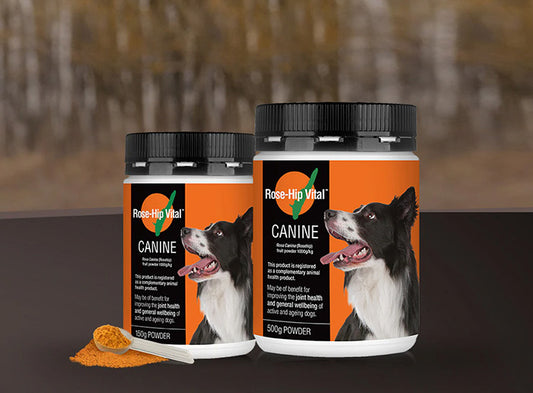 Rose-Hip Vital Canine – Natural Joint Supplement for Dogs | Hip & Mobility Support Powder 150g
