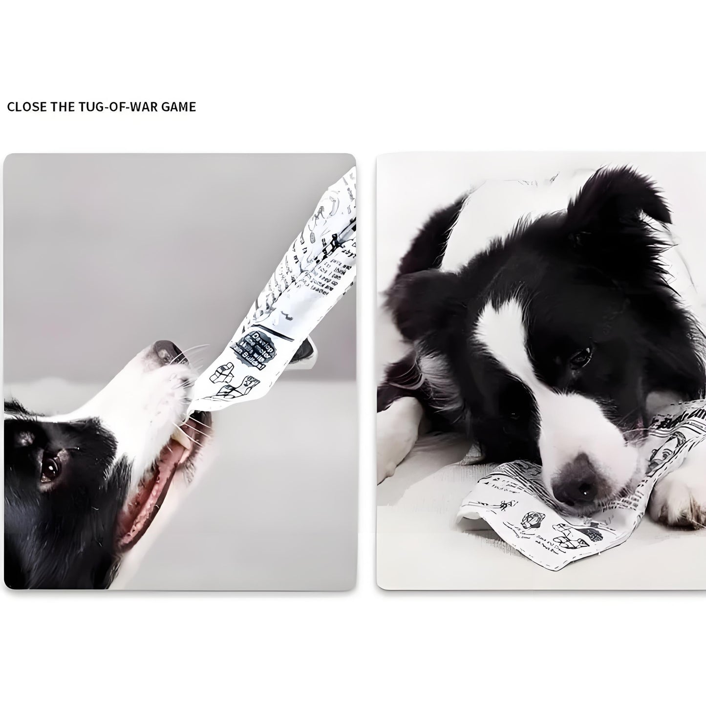 Paper Crinkle Dog Toy – Durable Squeaky Toy with Newspaper & Poker Card Design for Small to Medium Dogs - DD PET